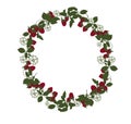 Pattern with berries and raspberry flowers. A wreath with red raspberries, leaves, branches and white flowers. Royalty Free Stock Photo