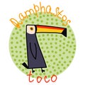 Ramphastos toco or giant toucan Royalty Free Stock Photo