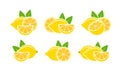 Lemon logo. Isolated lemon on white background