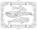 Sperm whale, Blue whale and shark in a frame from shells - horizontal vector page coloring antistress. Vector coloring book with s
