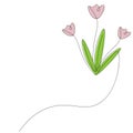 Flowers tulips background vector illustration