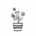 Plants, willow twig, flowers in a pot and a bee.