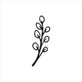 Plants, willow twig, flowers . Cute drawing by hand