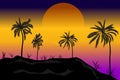 Sunset and palm trees. Hawaii Royalty Free Stock Photo