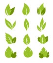 Leaves icon vector set isolated on white background. Royalty Free Stock Photo