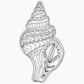 Seashell with ornaments folk style for coloring, isolated, vector for coloring, snail, marine