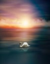 White Swan on lake, sunset sky wallpaper Royalty Free Stock Photo