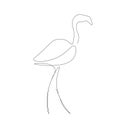 Flamingo line drawing, vector illustration