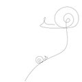 Snail animal family, summer background vector Royalty Free Stock Photo