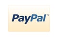 PayPal Logo on white background editorial illustrative