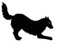 The silhouette of a dog. Big shaggy dog - black vector silhouette for logo or sign. Dog silhouette for corporate identity or picto