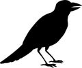 Silhouette of illustrated black crow with beak open Royalty Free Stock Photo