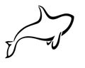 Orca killer whale is a vector stylized sign for a logo or pictogram. Stylized graceful killer whale - a simple print with a marine