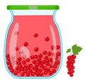 Currant compote in a glass jar. Vector isolated image on a white background.