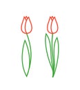 Tulip logo. Isolated tulip on white background