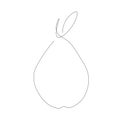 Summer fruit tree pear, vector illustration