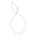Summer fruit pear line drawing vector