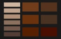 Skin tone modern color palette. An example of gradient color palette.