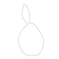 Summer fruit tree pear, vector illustration