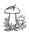 Mushrooms in the grass - linear vector illustration for coloring. Two ceps large and small in the grass and fallen leaves - autumn