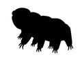 Tardigrades is a vector silhouette picture for a logo or sign with a microscopic animal. The silhouette of Tardigrades or a small