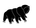 Tardigrades silhouette - stock illustration for logo or sign with microscopic animal. The Black Silhouette of Tardigrades