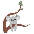 Cute little koala on a tree, eucalyptus leaves, lovely cube, adorable bear