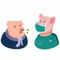 The Sick Pig Fever Patient with Pig Doctor. G4 AE H1N1 Swine Flu Virus Spreading from Pig symbol in cartoon illustration vector Royalty Free Stock Photo