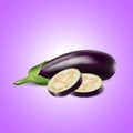 Realistic Vegetable eggplant and cut is isolated on background.Vector illustration.