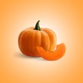 Realistic Vegetable pumpkin and cut is isolated on background.Vector illustration.