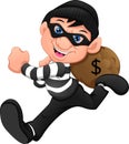 Thieves ran away with money