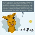 A cute baby camel, asking questions. Cartoon character for kids stories.