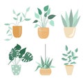Potted flowers isolated vector illustration on white background