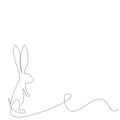 Bunny animal on white background