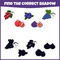 Find the correct shadow. Fresh and summer fruits. Royalty Free Stock Photo