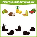 Find the correct shadow. Fresh and summer fruits. Royalty Free Stock Photo