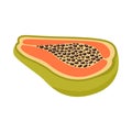 Papaya flat icon. Half of papaya.