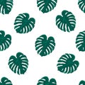 Beautiful seamless vector tropical pattern with monstera leaves on white background. Abstract summer texture