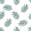 Beautiful seamless vector tropical pattern with palm leaves on white background. Abstract summer texture