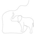 Elephant on white background line draw