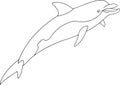 Vector dolphin illustration on white