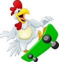 cute chicken playing skate board Royalty Free Stock Photo