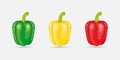 Green ,yellow and red bell pepper flat icon.