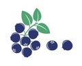 Blueberry logo. Isolated blueberry on white background