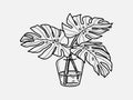 Hand drawn monstera. Indoor plant in a Jar. Scandinavian style illustration with monstera, modern and elegant home decor. Vector p Royalty Free Stock Photo