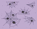 The collection of cute spider web Royalty Free Stock Photo