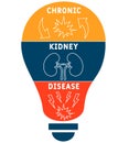 CKD - Chronic Kidney Disease acronym, medical concept background.