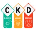 CKD - Chronic Kidney Disease acronym, medical concept background.