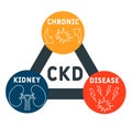 CKD - Chronic Kidney Disease acronym, medical concept background.