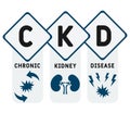 CKD - Chronic Kidney Disease acronym, medical concept background.